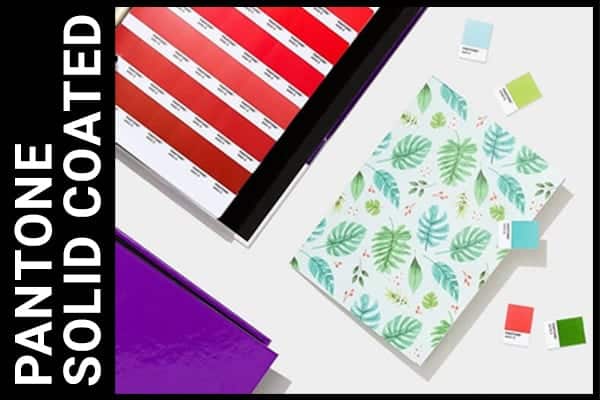 pantone color